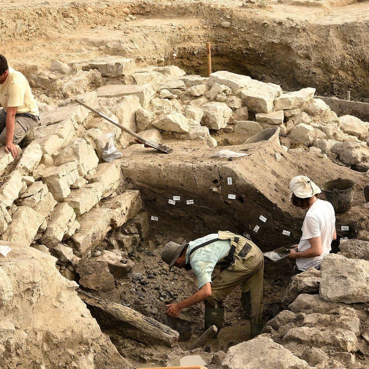 RÊVES RUINES- Musée Archéologique Lattara / l&rsquo;Atelline ( 8 JUILLET 2026)